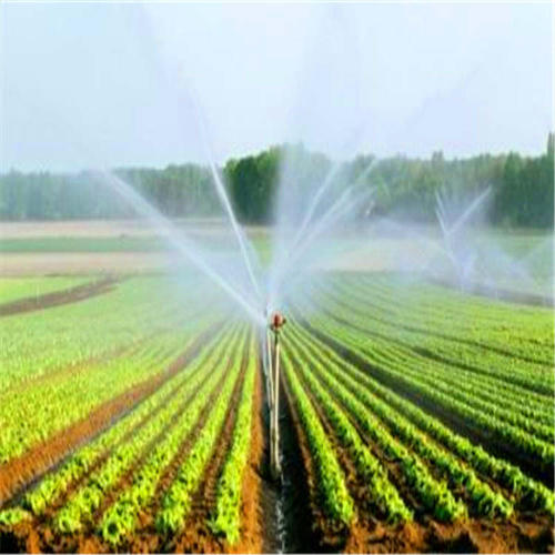 小规模农田灌溉工程管理现状及优化措施